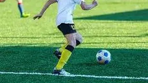 立博体育 资讯 101059 255